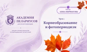 Урок 1