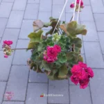 ИВ Есфирь Прекрасная