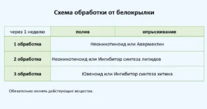 Лечение пеларгоний от белокрылки