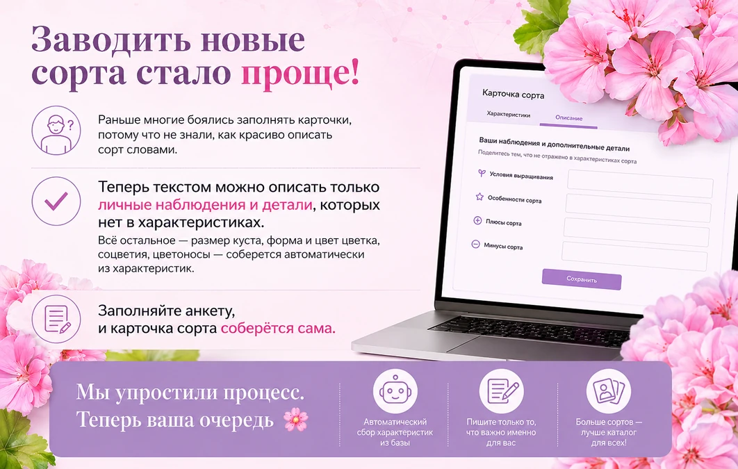 Новость заводить сорта стлао легчу
