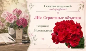 ЛИс Страстные объятия