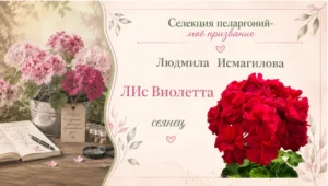 Лис Виолетта сеянец Людмилы Исмагиловой