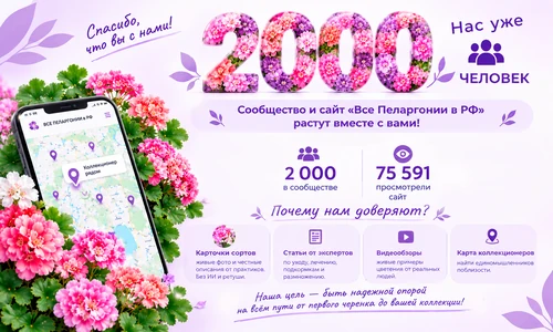 Нас 2000 в сообществе в ВК