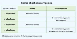 Схема обработок лечения от трипса