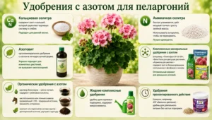 Удобрения с азотом