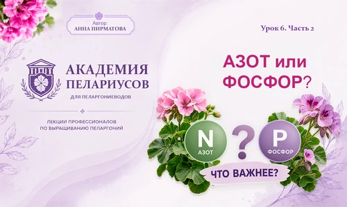 Азот или Фосфор: что важнее? статья