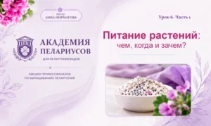 Питание растений: что, когда и зачем подкармливаем