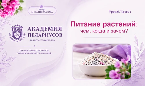 Питание растений: что, когда и зачем подкармливаем