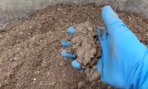 Проверка влажности грунта